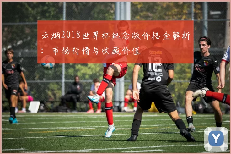 云烟2018世界杯纪念版价格全解析:市场行情与收藏价值