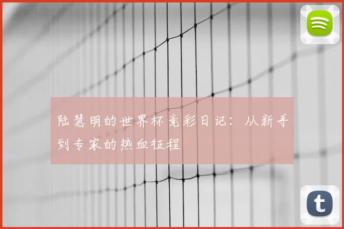陆慧明的世界杯竞彩日记:从新手到专家的热血征程
