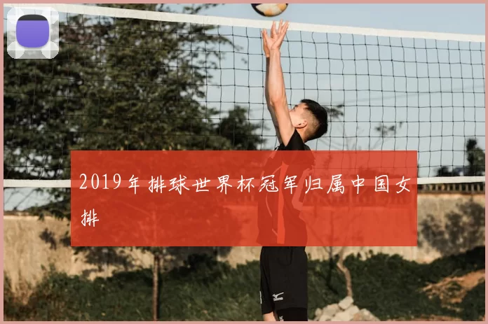2019年排球世界杯冠军归属中国女排