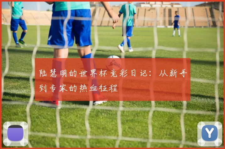 陆慧明的世界杯竞彩日记:从新手到专家的热血征程
