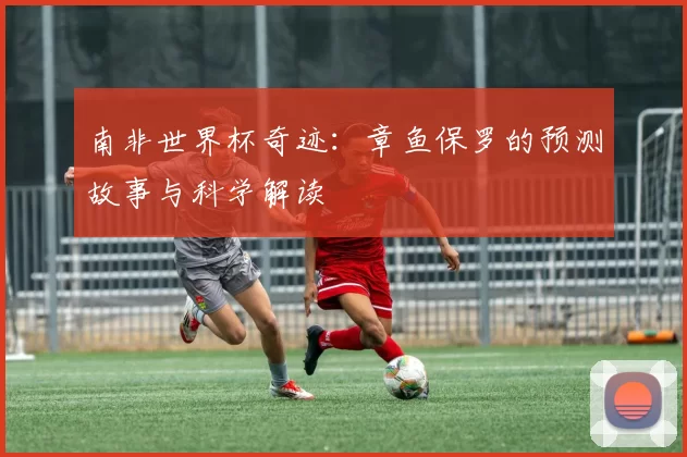 南非世界杯奇迹：章鱼保罗的预测故事与科学解读