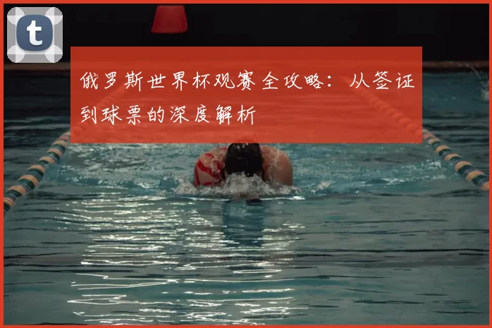 俄罗斯世界杯观赛全攻略:从签证到球票的深度解析