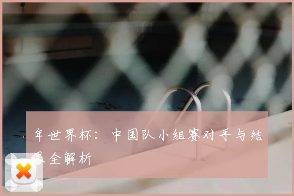 年世界杯:中国队小组赛对手与结果全解析