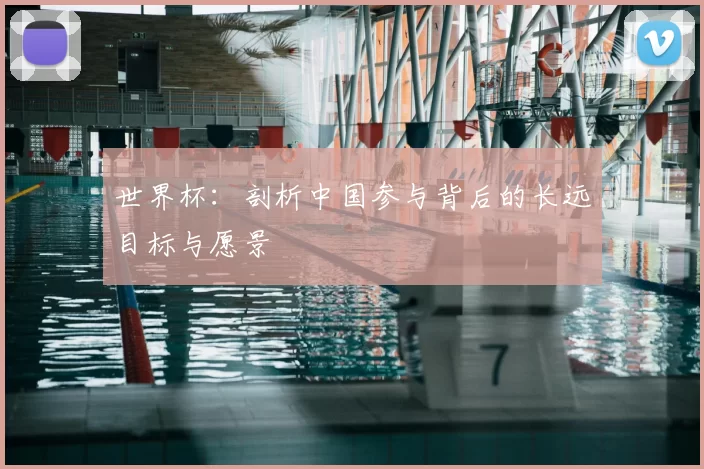 世界杯：剖析中国参与背后的长远目标与愿景