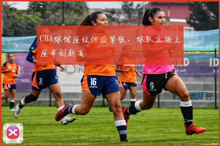 CBA球馆座位供应紧张,球队主场上座率创新高