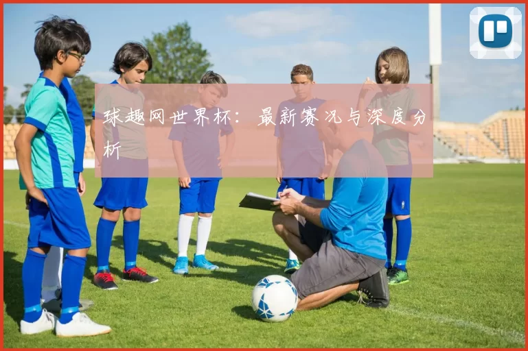 球趣网世界杯:最新赛况与深度分析