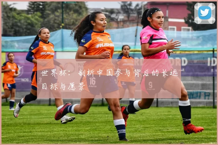 世界杯:剖析中国参与背后的长远目标与愿景