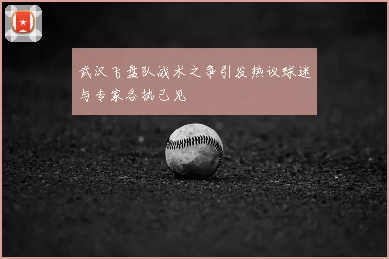 武汉飞盘队战术之争引发热议球迷与专家各执己见