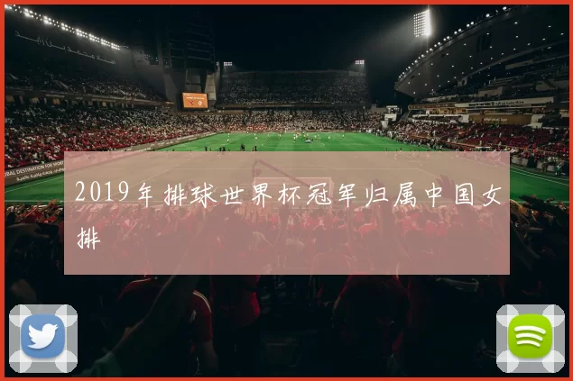 2019年排球世界杯冠军归属中国女排