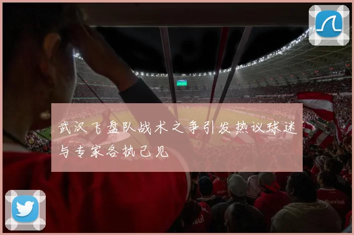 武汉飞盘队战术之争引发热议球迷与专家各执己见