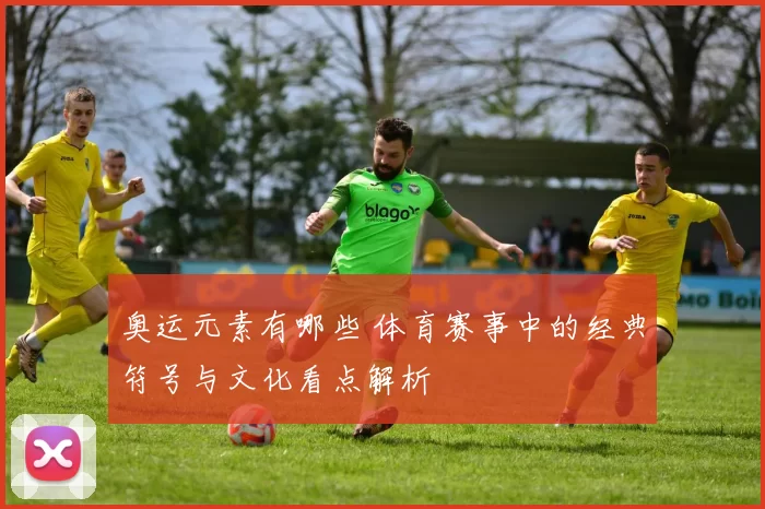 奥运元素有哪些 体育赛事中的经典符号与文化看点解析
