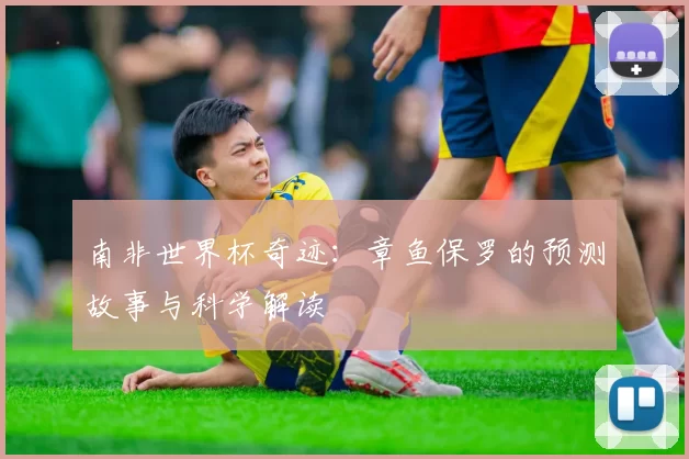 南非世界杯奇迹:章鱼保罗的预测故事与科学解读